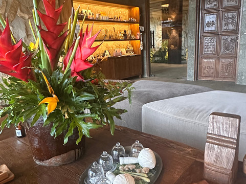 Ananda Spa by Samanvaya-席德门必去景点