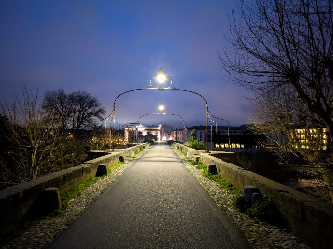 Le Pont Vieux (The Old Bridge)-卡尔卡松必去景点