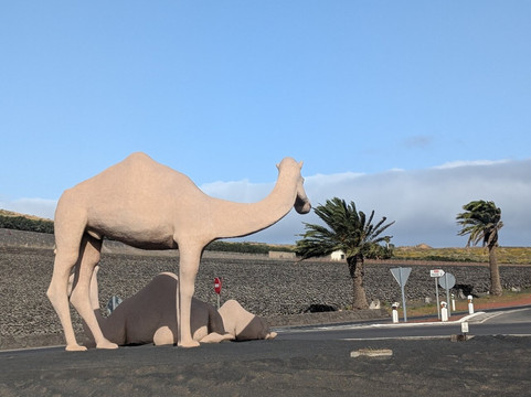 Rotonda De Los Camellos-Uga必去景点