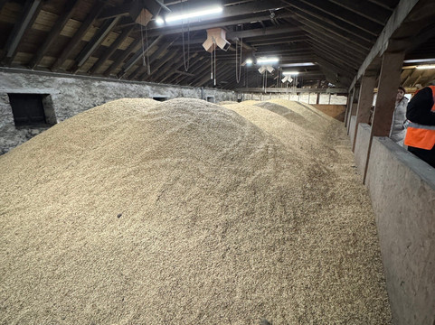 Springbank Distillery-Campbeltown必去景点