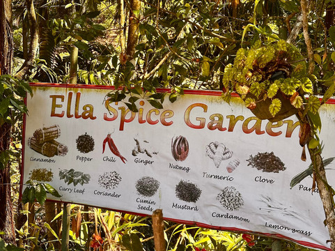 Ella Spice Garden Cooking School-埃勒必去景点