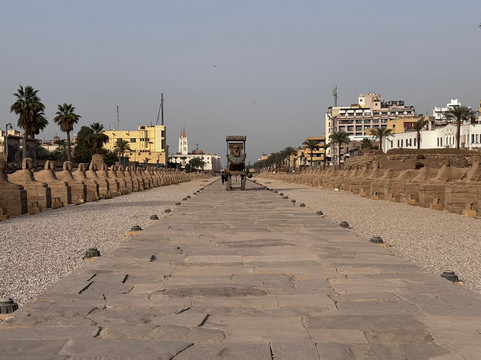 Avenue of Sphinxes-卢克索必去景点