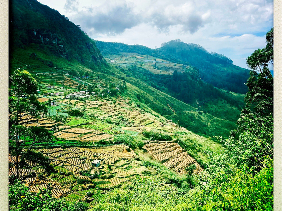 Trek Tropical Tours - Sri Lanka Tours & Travels-埃勒必去景点