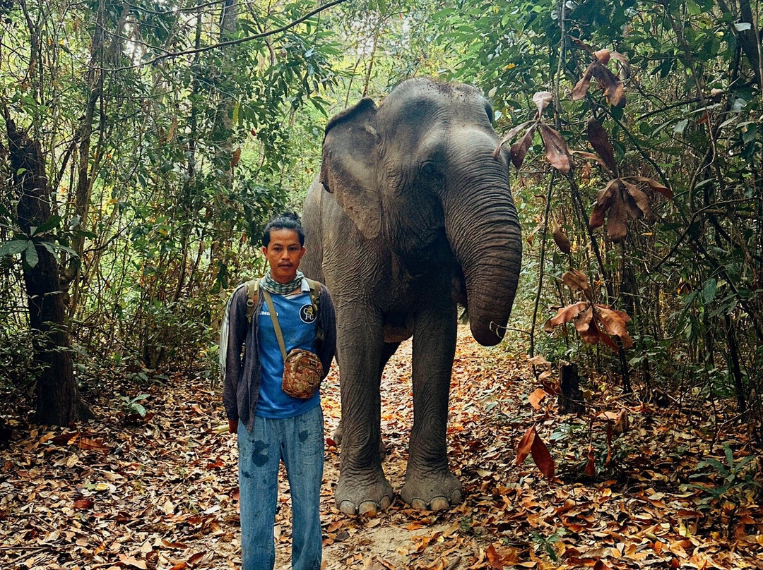Cambodia Wildlife Sanctuary-暹粒必去景点