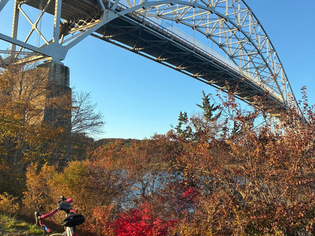 Cape Cod Canal-Buzzards Bay必去景点