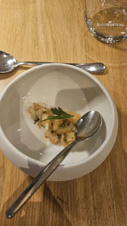 奥兹恩阿登纳酒店-官方