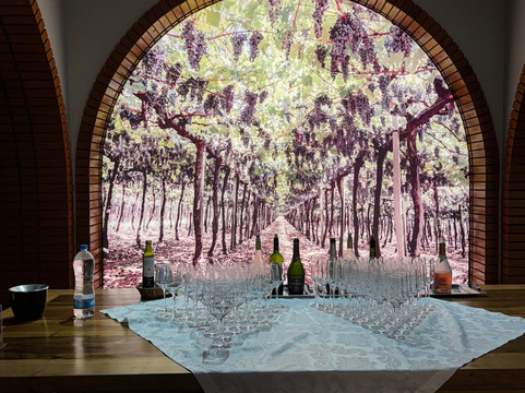 Aurora Winery-本图贡萨尔维斯必去景点