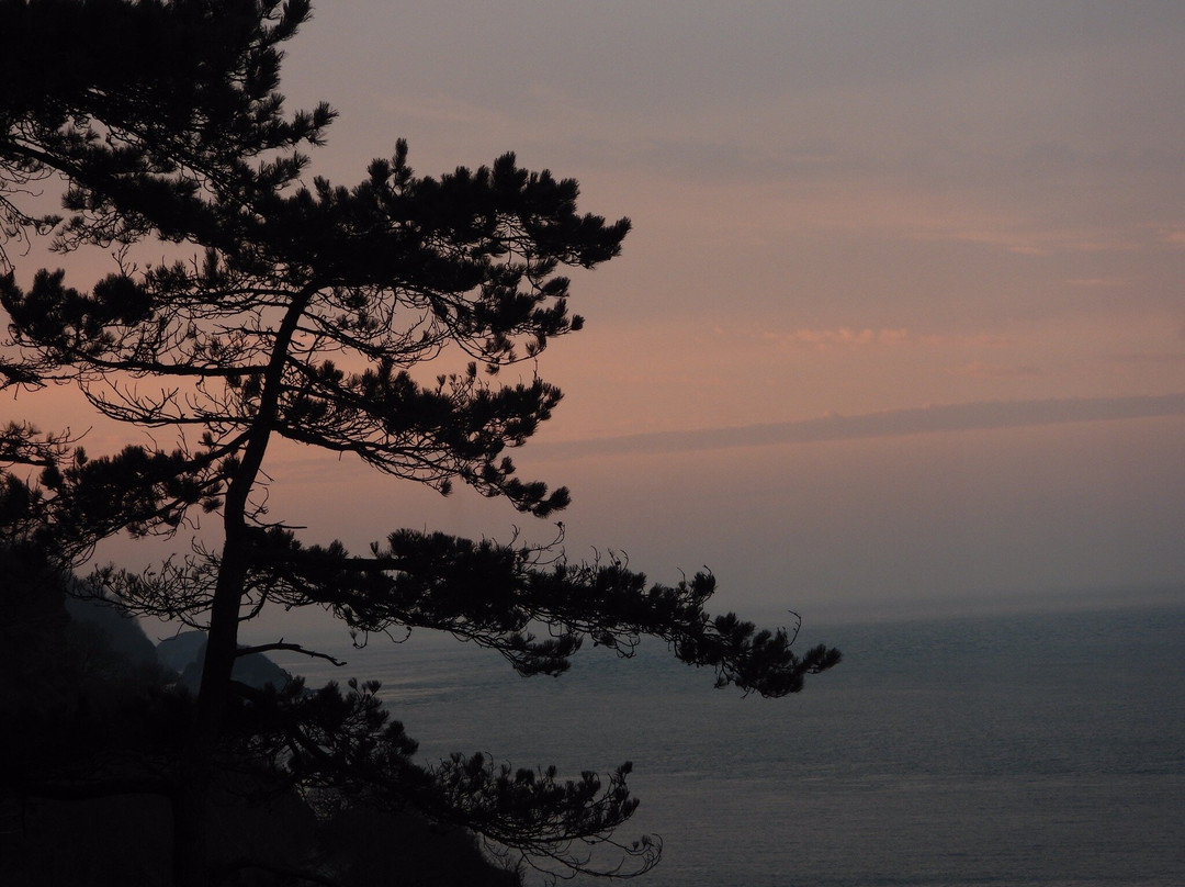 Combe Martin Beach-Combe Martin必去景点