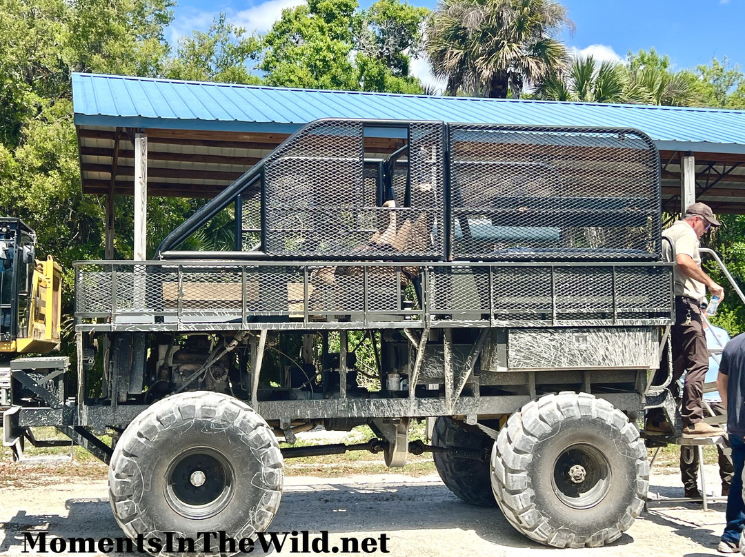 美洲狮国家野生动物保护区-Immokalee必去景点