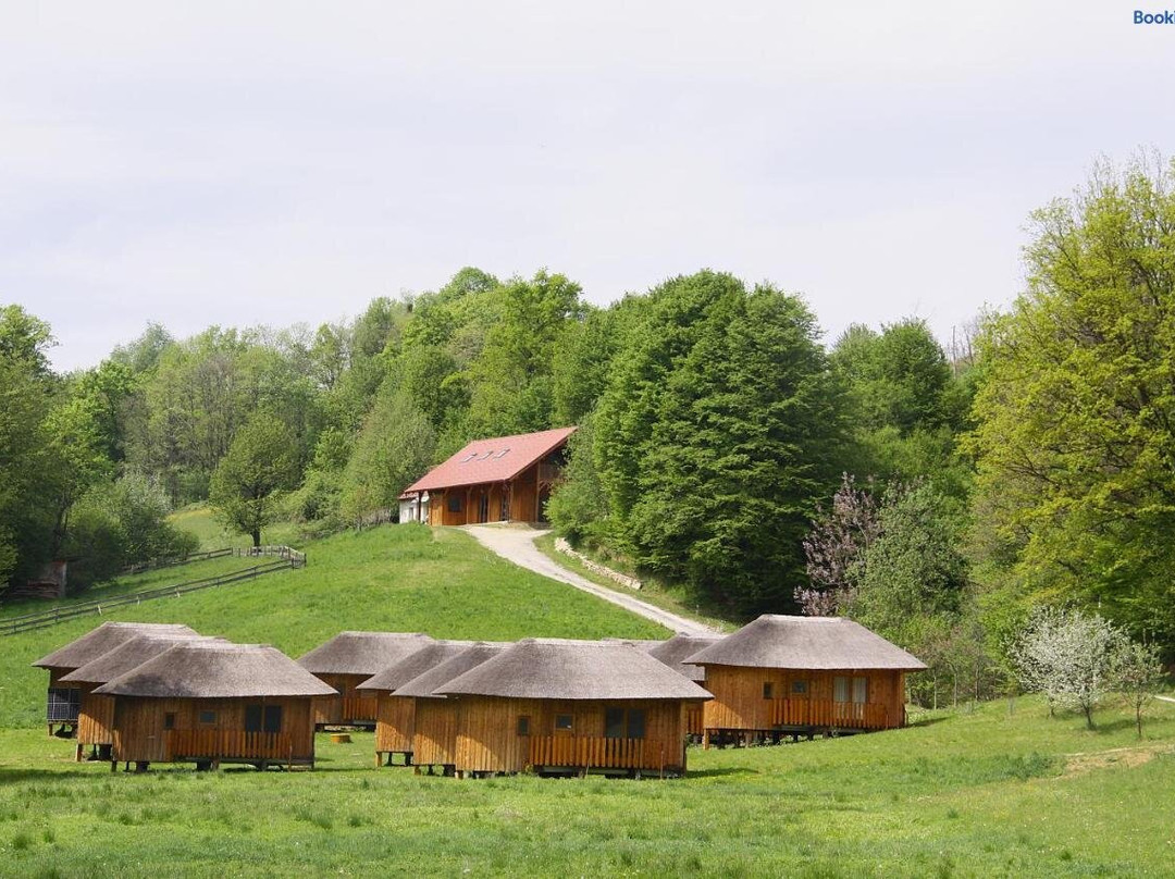 Glamping Bionic Healing Village