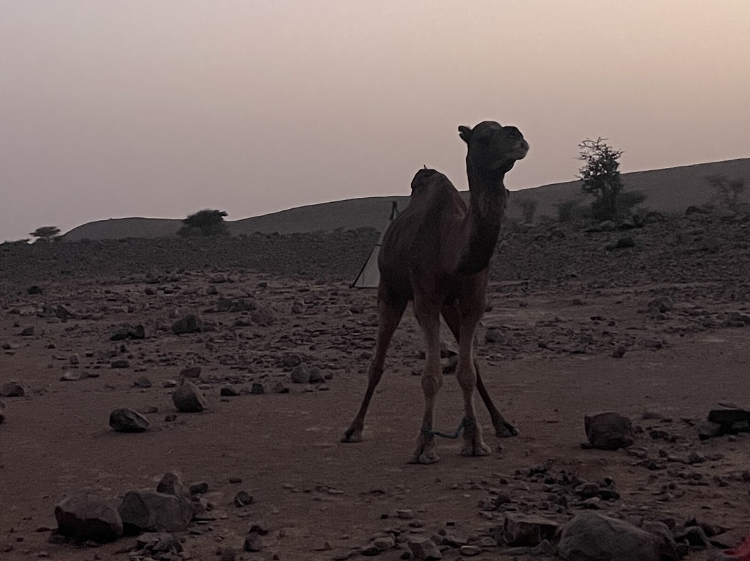 Aziwan Travel-Azilal必去景点