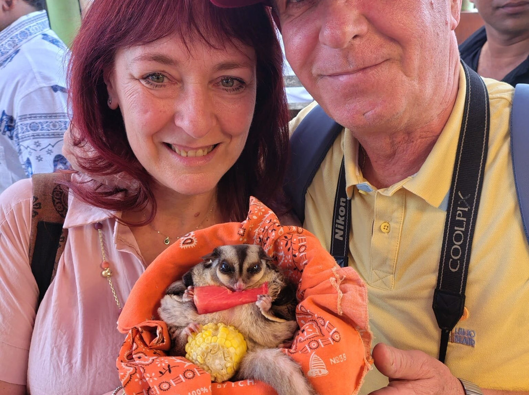 Thailandream-清迈必去景点