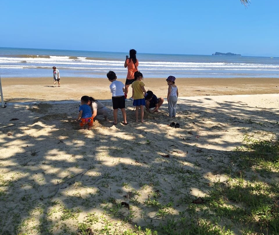 婆罗洲海滩红树林度假村