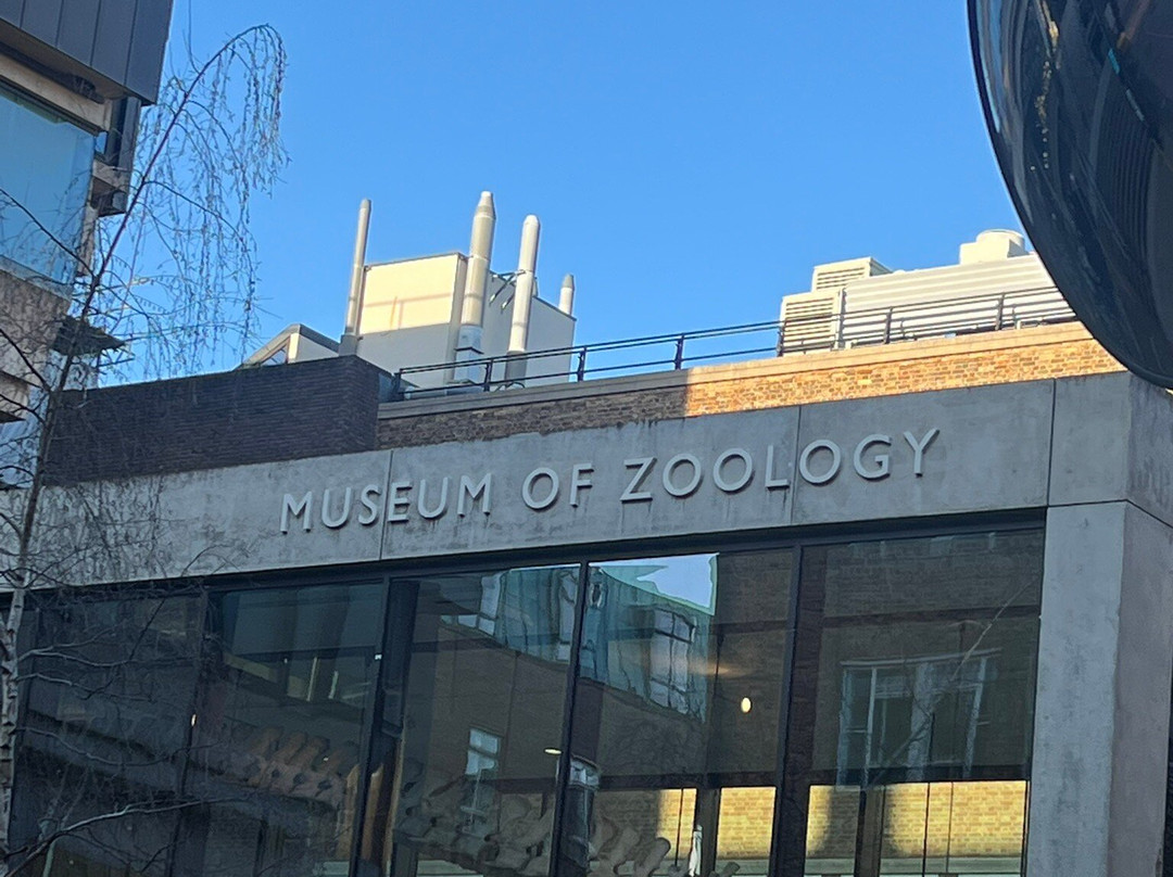 University Museum of Zoology-剑桥必去景点
