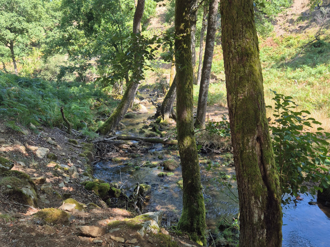 La Vallee des Daims-Junhac必去景点