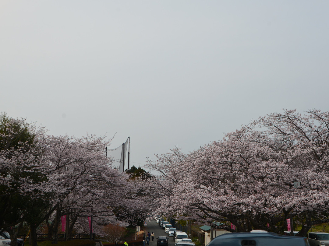 Iwamotoyama Park-富士市必去景点