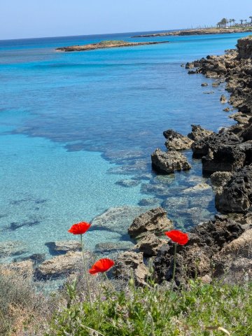 日出海滩酒店-官方