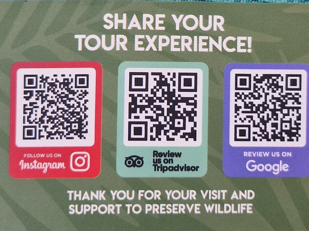 Akumal Monkey Sanctuary & Rescued Animals-艾库玛尔必去景点