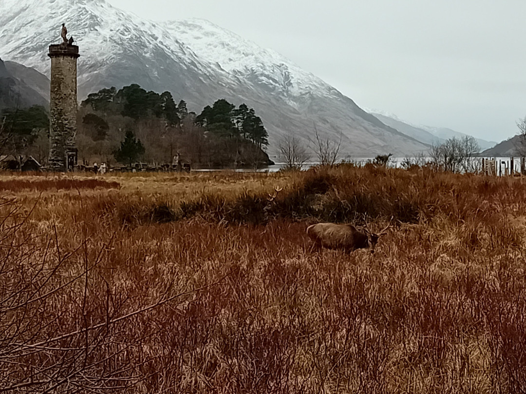 Glenfinnan Monument-Glenfinnan必去景点