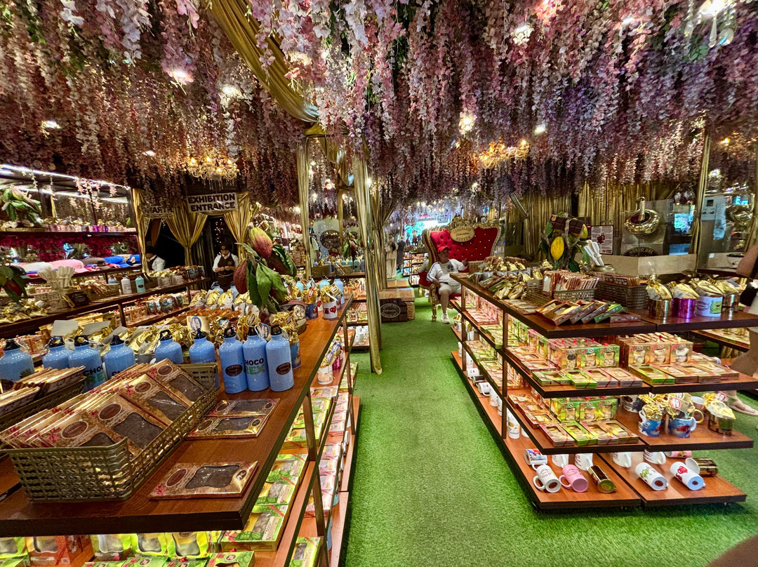 Kaanas Travel-麦德林必去景点