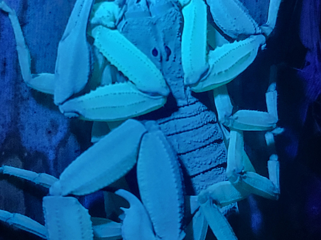 Santa Lucia Falls-乌维塔必去景点