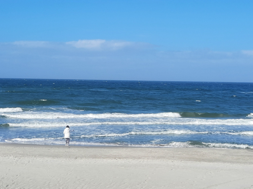 大兰舒普酒店主图