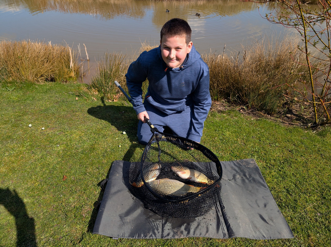 新农场民宿主图