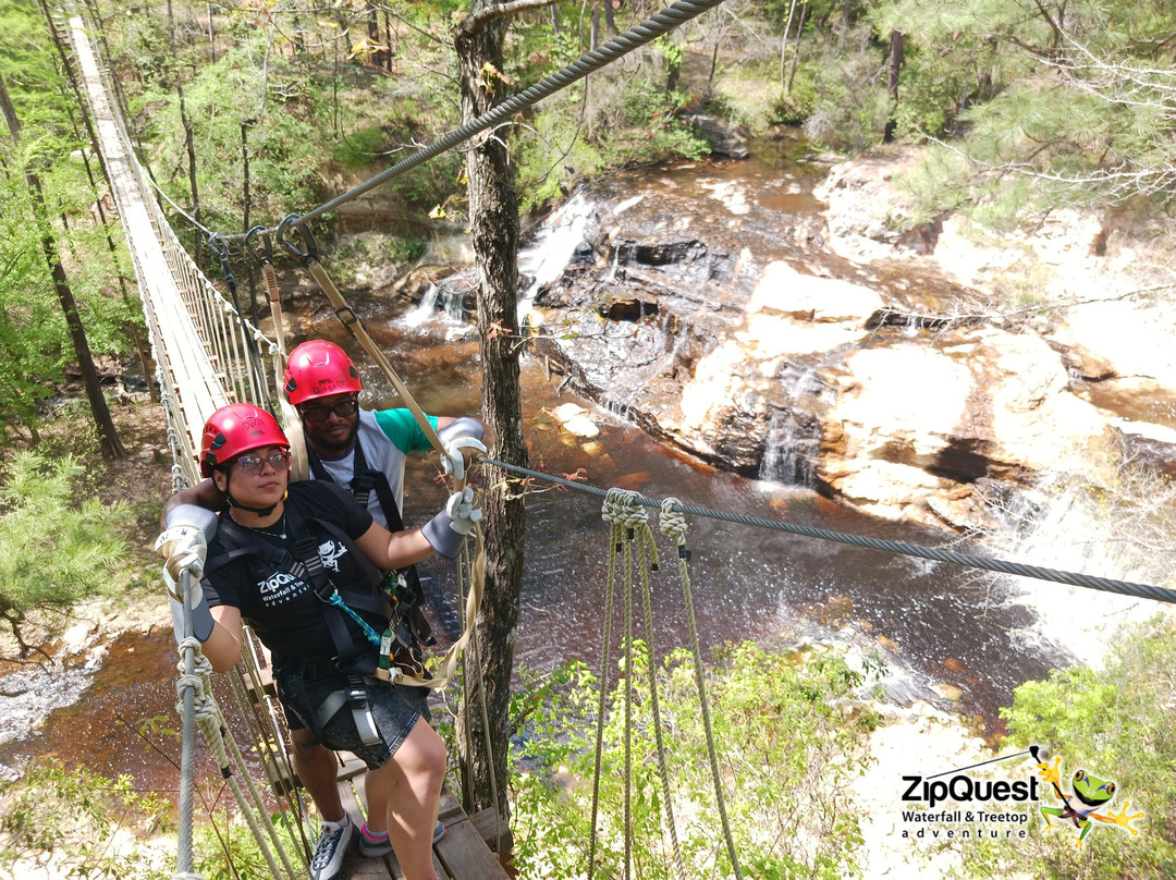 ZipQuest Waterfall & Treetop Adventure-费耶特维尔必去景点