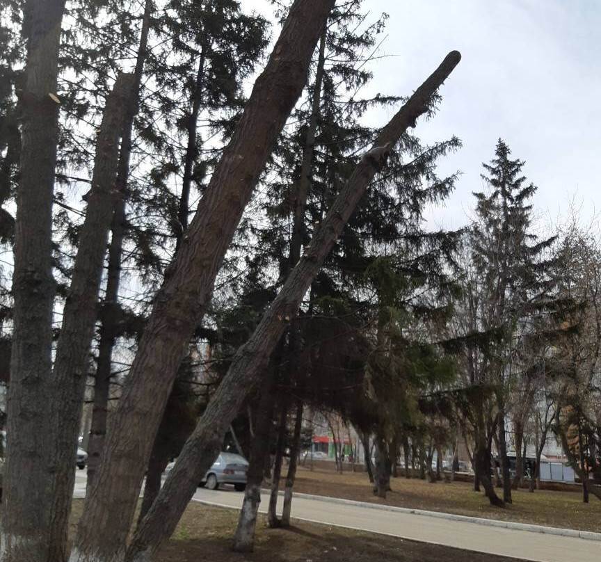 Yu. Gagarin Park of Culture and Leisure-萨马拉必去景点