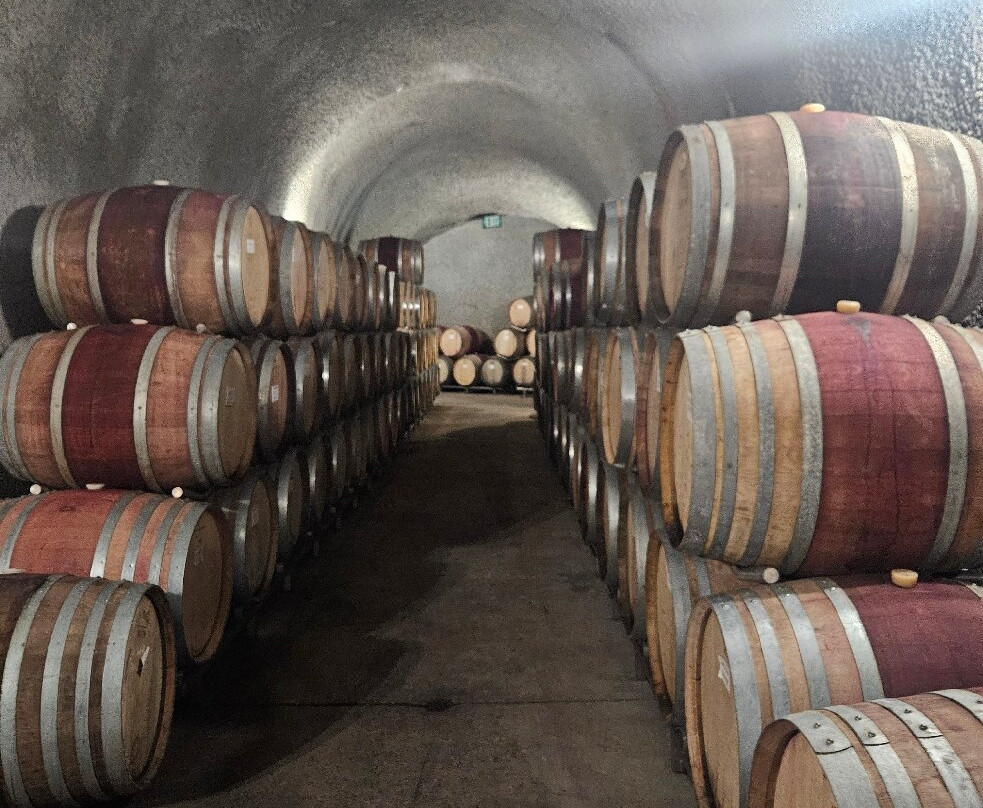 Eberle Winery-帕索罗布尔斯必去景点