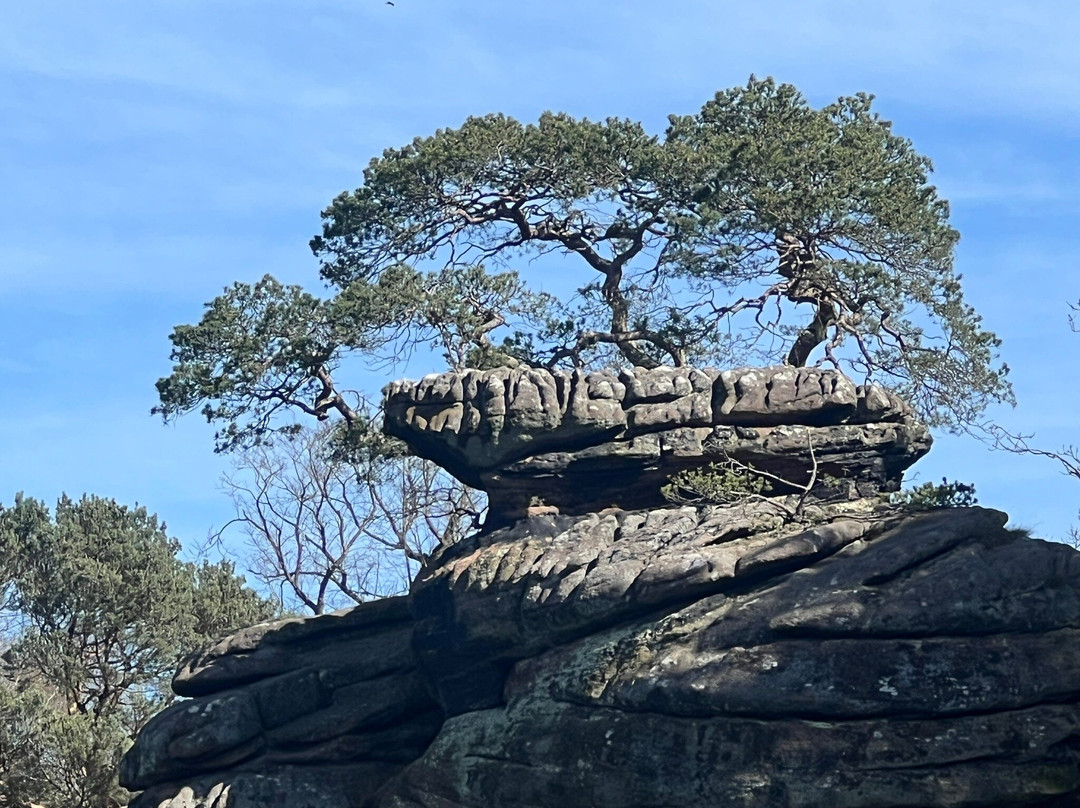 Plumpton Rocks-Knaresborough必去景点