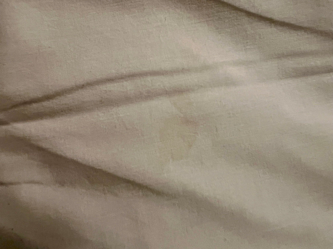 巴黎紫丁香门民宿酒店主图