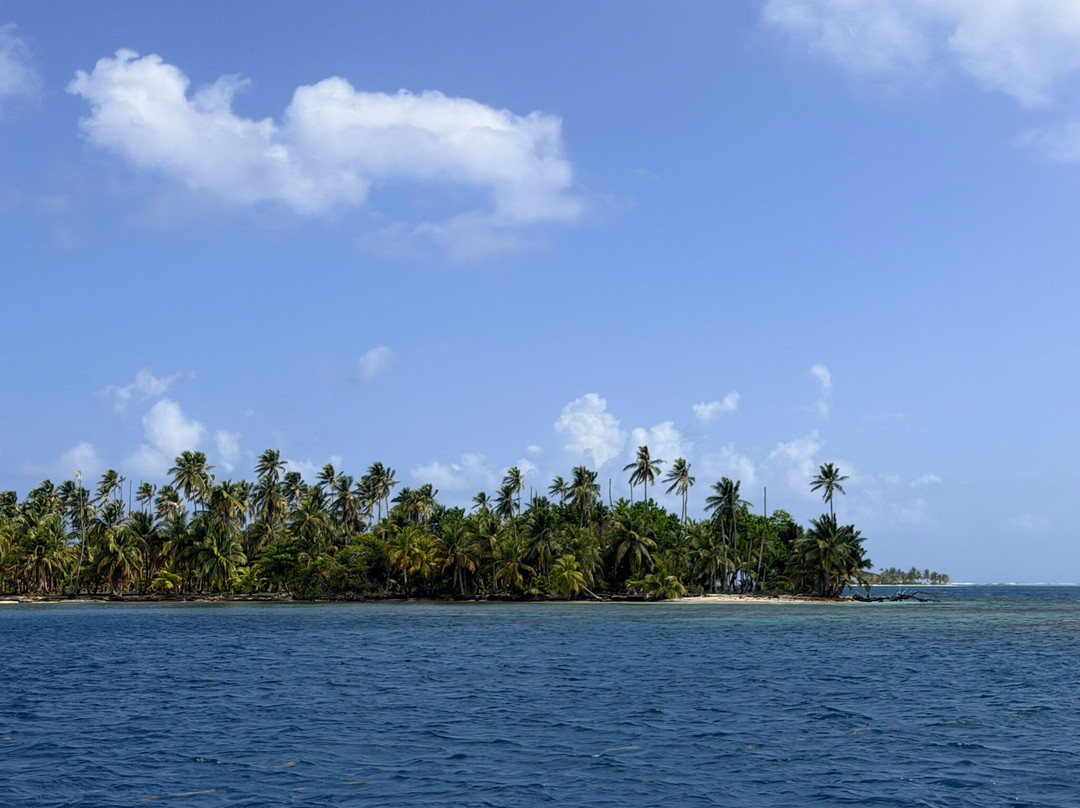 Flying Ginny Catamaran Charter-埃尔波韦尼尔必去景点