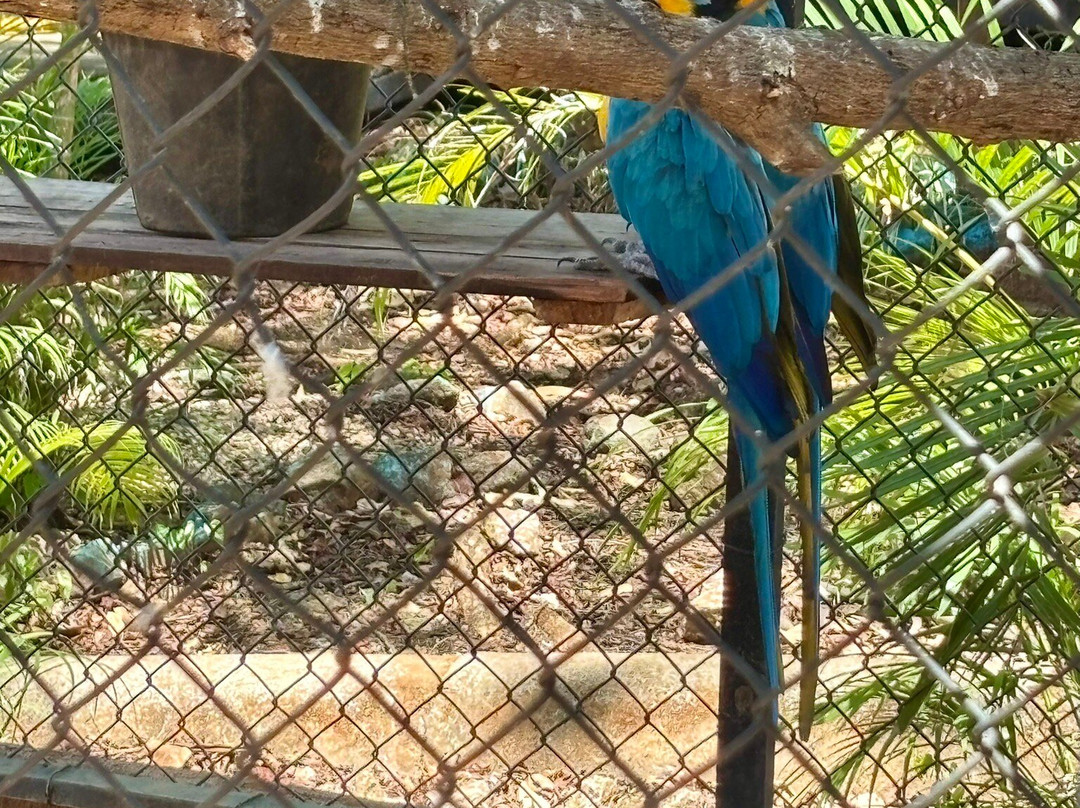 APAMI Wild Life-Portegolpe必去景点