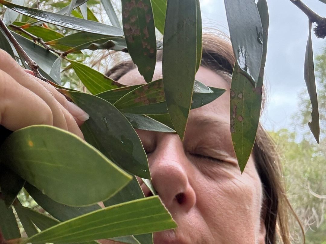 Currimundi Lake-Currimundi必去景点