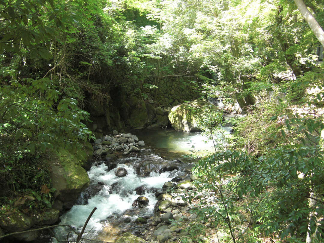Manyo Park-汤河原町必去景点