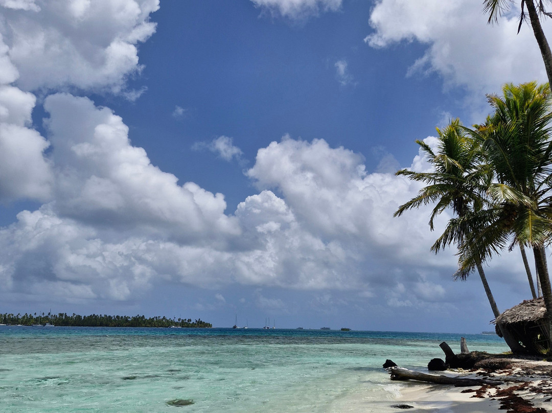 Sail Boat Trips & San Blas Catamarans-Carti Tupile必去景点