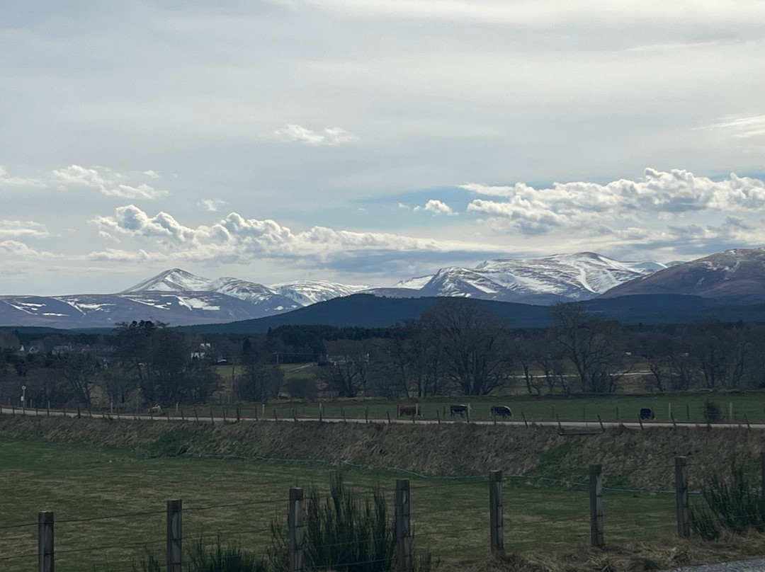 Strathspey Railway-阿维莫尔必去景点
