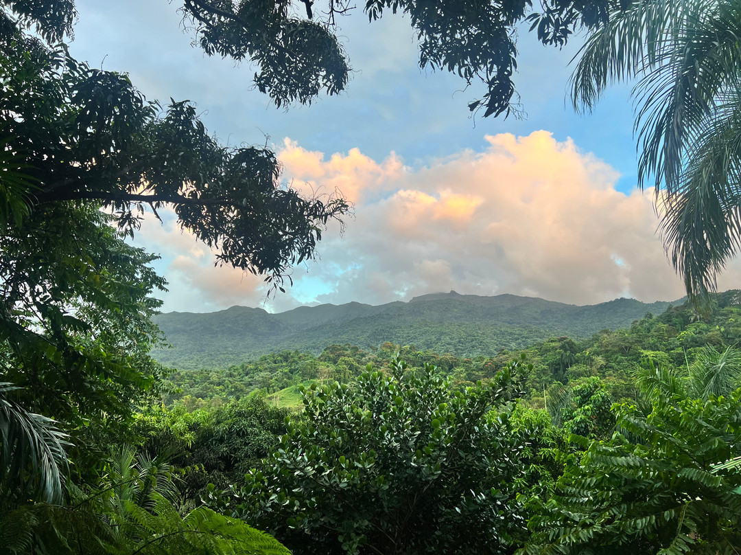 Yuquiyu Treehouses主图