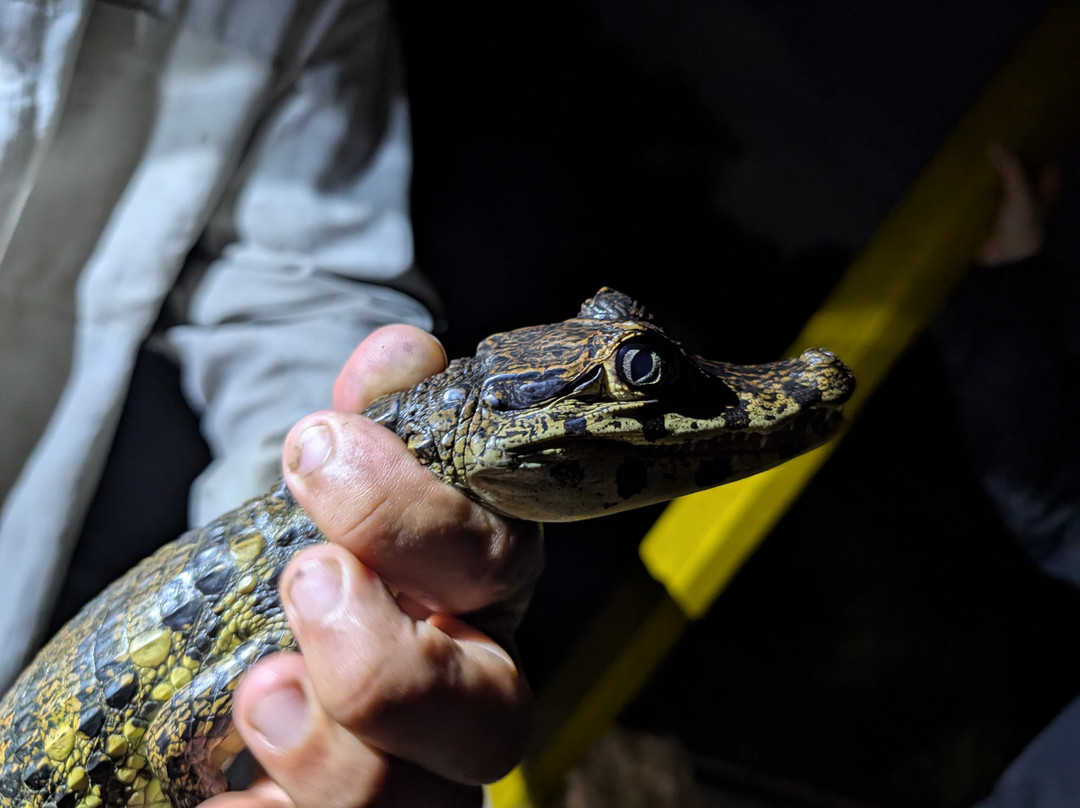 CHUCHINI Amazon Wildlife Reserve & Eco Lodge-Trinidad必去景点