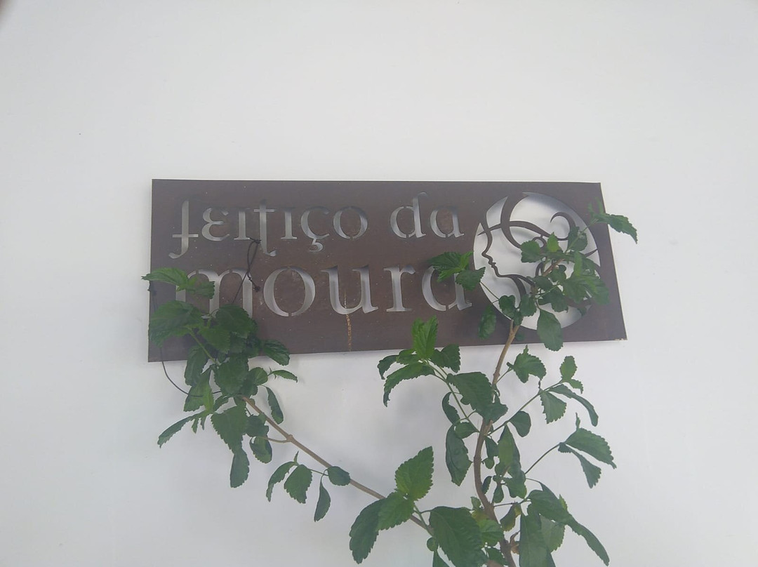 Sao Pedro do Corval酒店住宿-Horta Da Moura