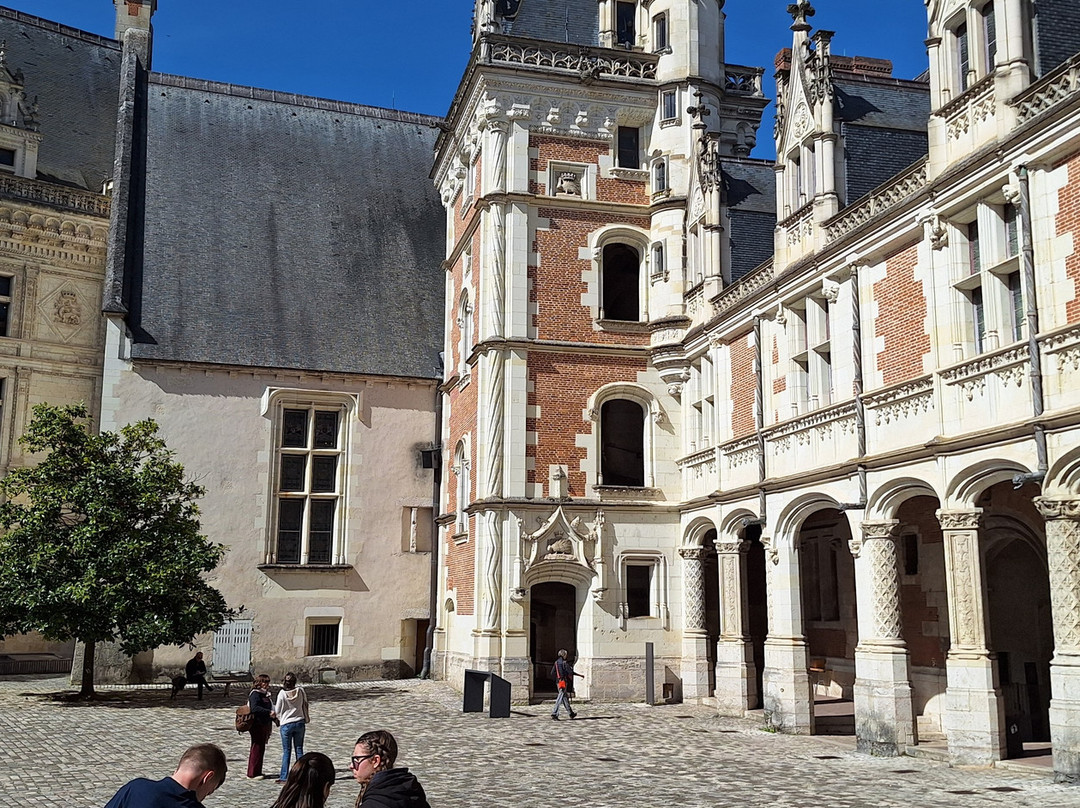 布卢瓦皇家城堡-布洛瓦必去景点