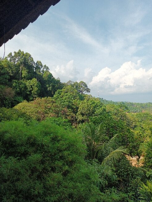 Eco Khao Lak Adventure - Private Day Tours-拉克山必去景点