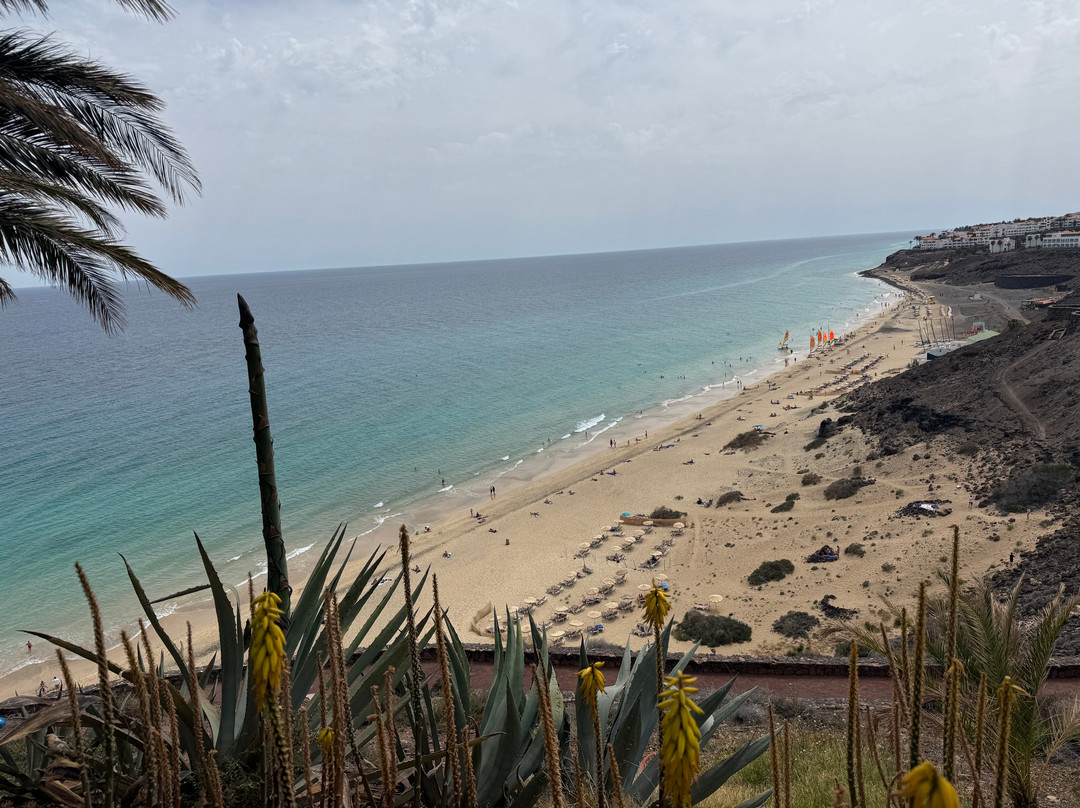 罗宾逊艾思奇佐海滩 - 全包式主图