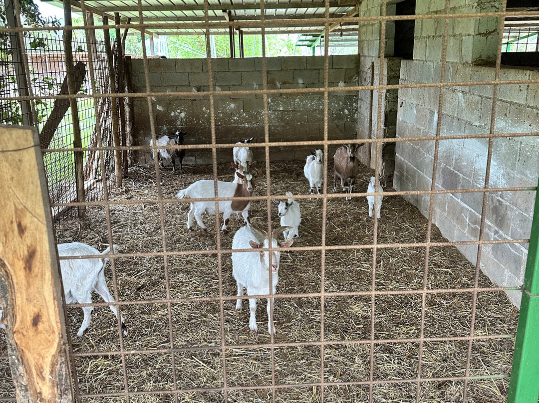 Fattoria Didattica Marilù-Veroli必去景点