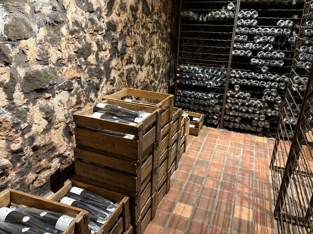 Domaine Gruss & Fils-艾古斯汉必去景点