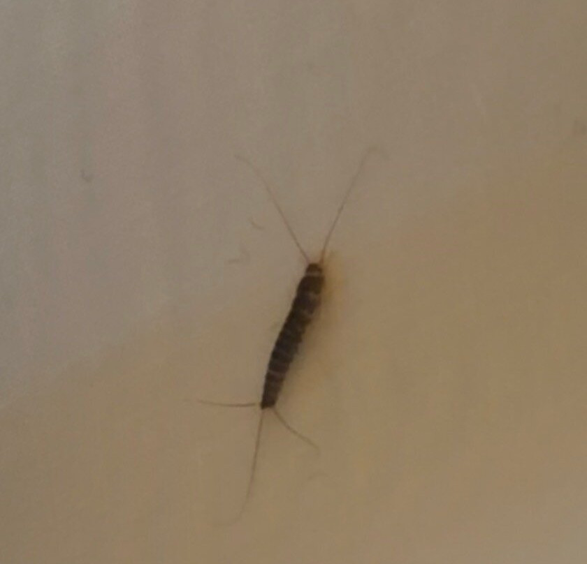 Sømna Kro & Gjestegård主图