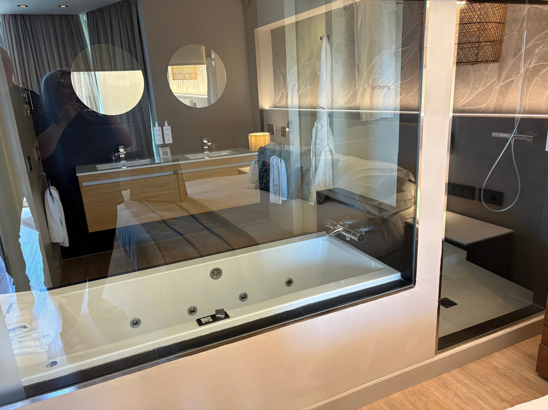 安东尼爵士酒店主图