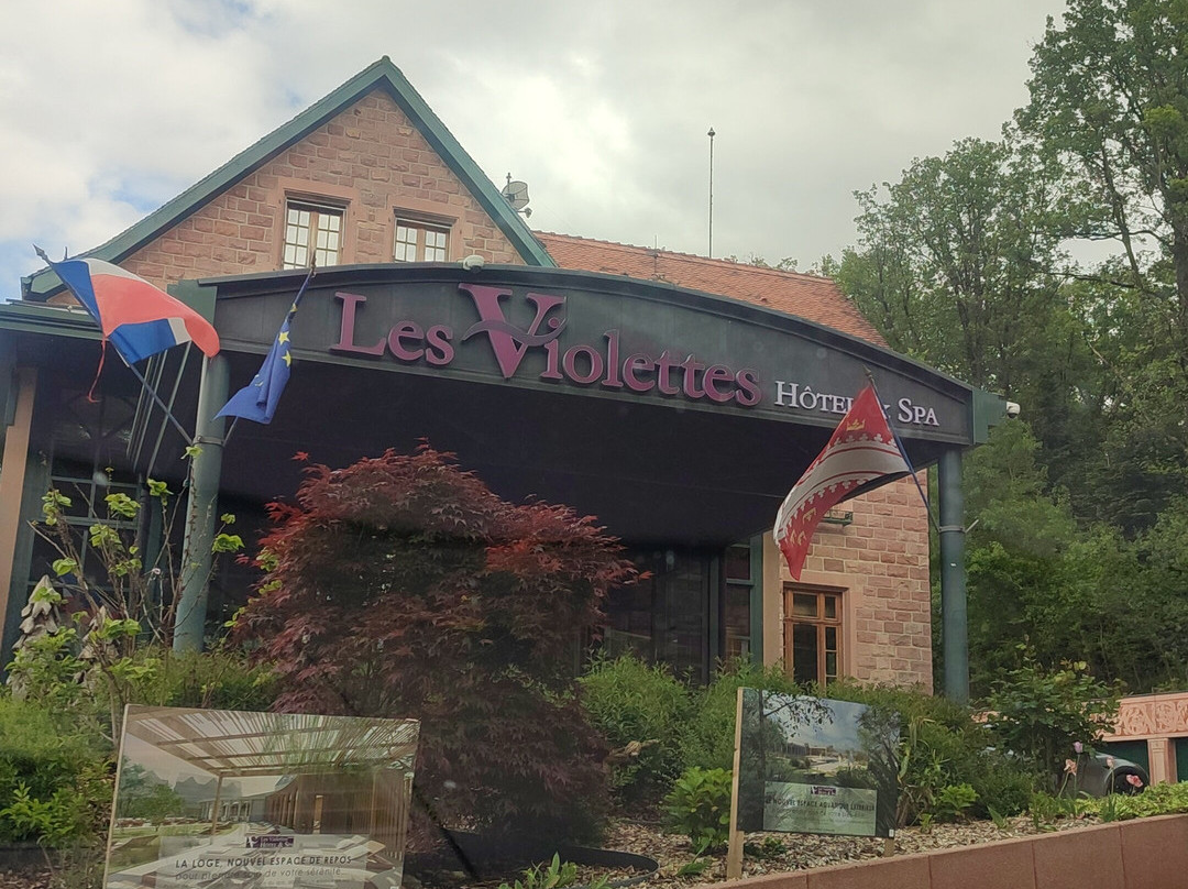 Hôtel & Spa les Violettes主图