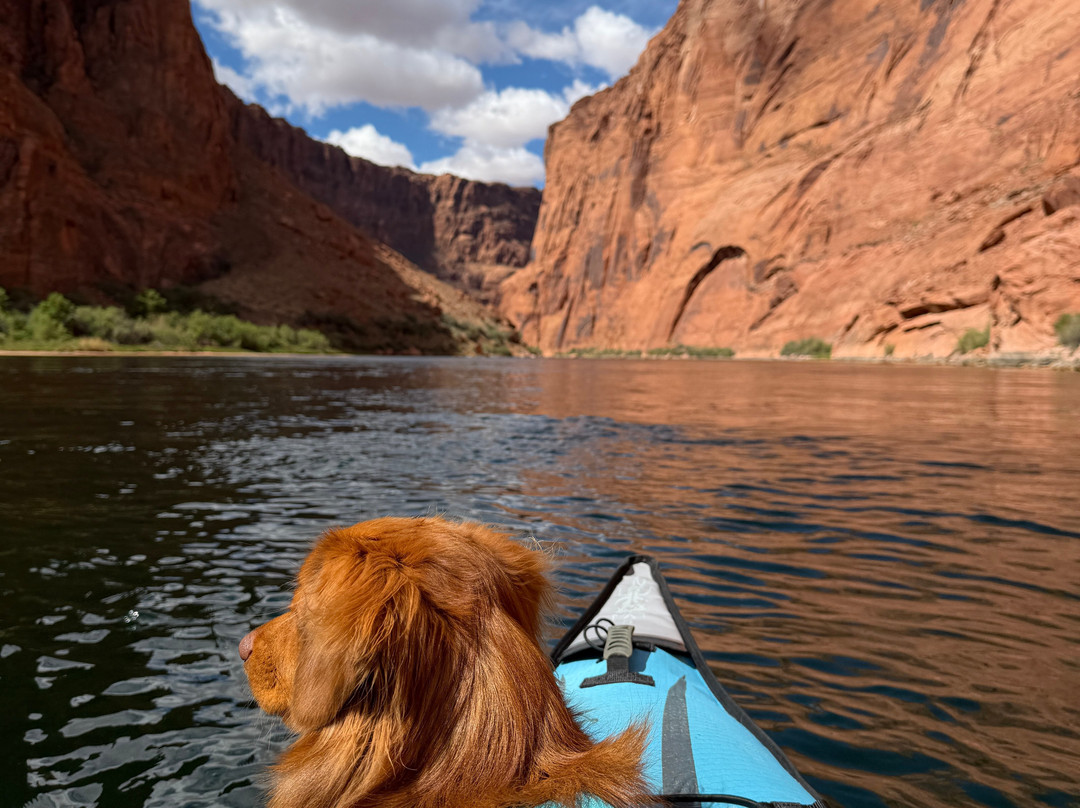Kayak the Colorado-大理石峡谷必去景点